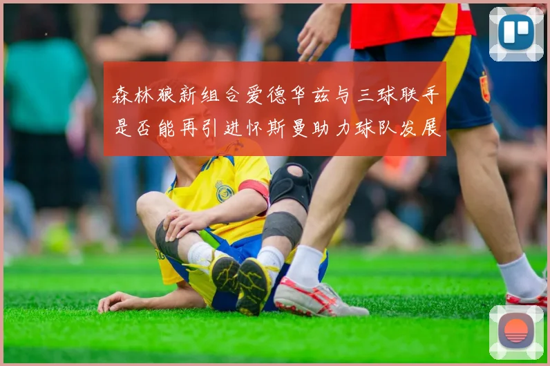 森林狼新组合爱德华兹与三球联手是否能再引进怀斯曼助力球队发展
